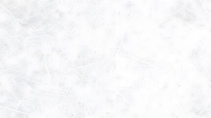 Obraz premium Abstract White Texture Background Subtle Gray Lines Grunge Seamless Pattern