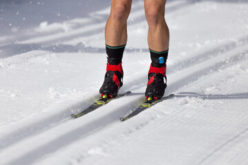 Cross-Country Skier Gliding on Groomed Snowy Trails in Winter Landscape