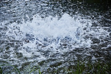 Obraz premium Bubbling water in a lake in a park