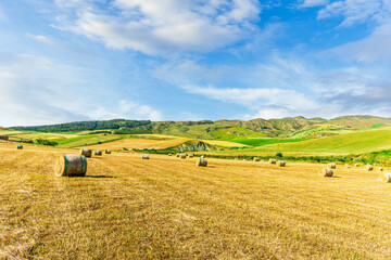 Fototapeta premium beautiful summer golden field among green hills and mountains with yellow hay stacks and scenic landscape on background. Agricultural landscape of rustic farmland.