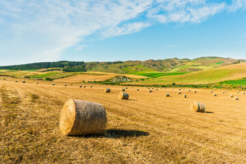 beautiful agricultural landscape of a golden shiny fielf of summer farmland with amazing hay stacks...