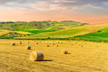 beautiful agricultural landscape of a golden shiny fielf of summer farmland with amazing hay stacks...
