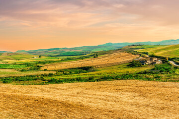 picturesque sunset or sunrise in nice green and yellow shiny field with beautiful golden rows of...