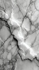 Elegant black and white marble texture showcasing intricate vein patterns and natural beauty in timeless design