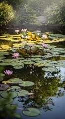 Poster de jardin  Serene Water Lilies: A Tranquil Pond Scene with Floral Reflections  © Ikhbal