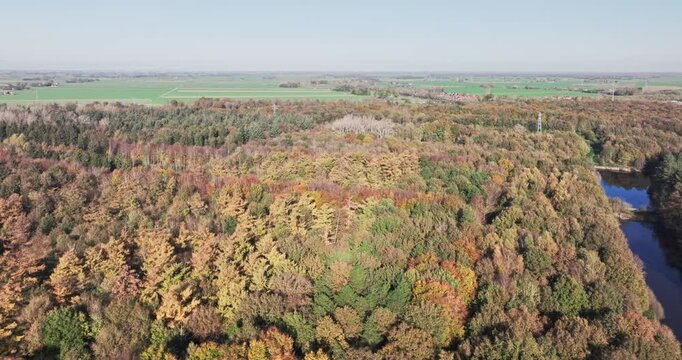 Aerial view of a forest displaying a vibrant mix of autumn colours, Kuinderbos, Noordoostpolder, Flevoland, Netherlands