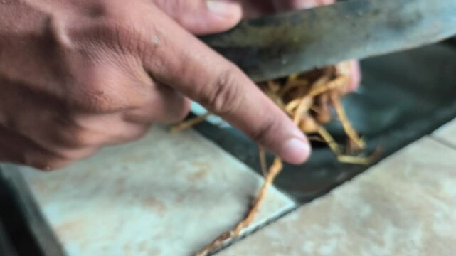 An adult's hand is cleaning temu lawak using a knife, Curcuma xanthorrhiza.