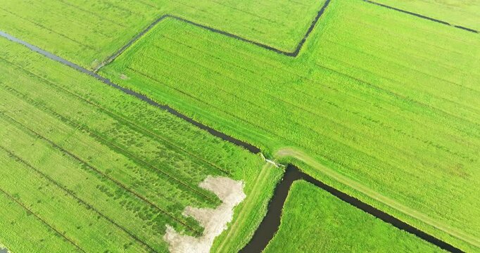 Aerial view of lush green fields divided by narrow ditches create a striking geometric pattern, meadow bird reserve Het Die, Limmen, Noord-Holland, Netherlands.