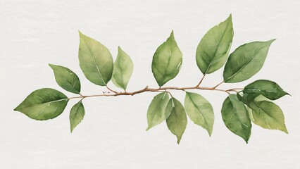 A delicate watercolor painting of a branch with vibrant green leaves, showcasing the beauty of natures growth