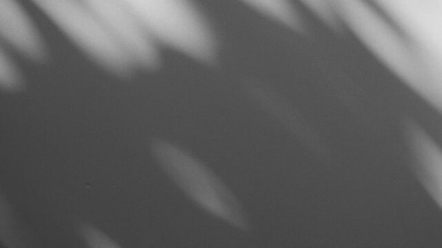 Wall interior background, studio and backdrops show products.with shadow from window color white and grey. background for text insertion and presentation product