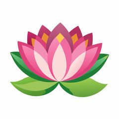 Fototapeta premium Pink lotus flower with green leaves purple yellow