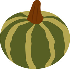 Vegetable green pumpkin. Vector. Autumn pumpkin symbol. 