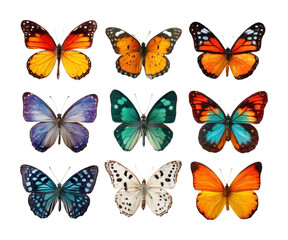 Colorful butterfly collection nature high-quality. Isolated on transparent background, png.