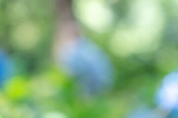 緑と青の抽象的なボケ背景