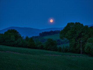 Góra Tuł. Czosnek niedźwiedzi. Beskidzki las. Beskid Mały, Śląsk Cieszyński © filozofgrecki