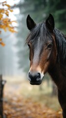 Majestic brown horse standing in a misty forest surrounded by autumn leaves during a serene morning
