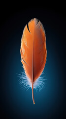 Beautiful orange feather on a dark background with soft lighting