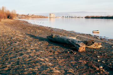 Driftwood on quiet riverbank at sunset, industrial port visible in the distance