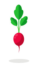 A red radish with green leaves. The radish is the main focus of the image. The image has a bright and cheerful mood, as the radish is a healthy and vibrant vegetable