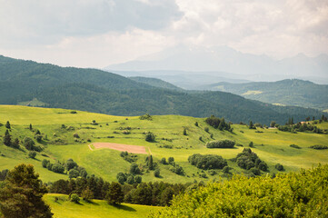mountain landscape in the summer with green grass at Pieniny