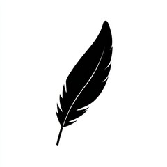 Obraz premium Feather illustration Simple black and white image of a feather, minimalist