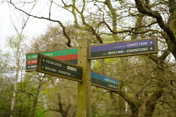 Sherwood Forest, Edwinstowe, Nottinghamshire – October 4 2024: Woodland trail signpost in a picturesque spring forest setting.