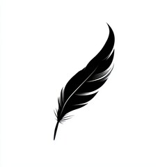Fototapeta premium Solitary detailed black feather with delicate barbs on a plain, white background