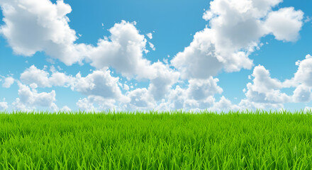 Fototapeta premium Serene Green Field under a Vivid Blue Sky Peaceful Nature Landscape Idyllic Scenery Beautiful Grassy Meadow Tranquil Outdoor Scene Summer Day