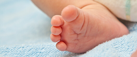 newborn baby feet on blue blanket close up