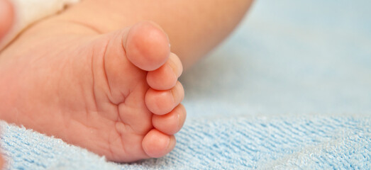 newborn baby feet on blue blanket close up