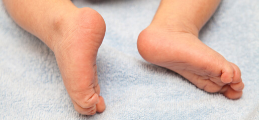 newborn baby feet on blue blanket close up