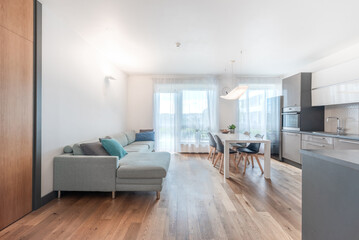Modern Open Concept Living Room and Kitchen with Wooden Flooring