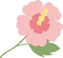 Hibiscus Syriacus Flower Illustration for Korean Theme Design