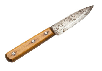 Isolated Rustic Butter Knife with Wooden Handle Detailed Rendering