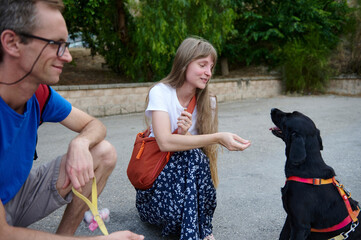 Happy Interaction Between Friends and Their Dog in a Scenic Park