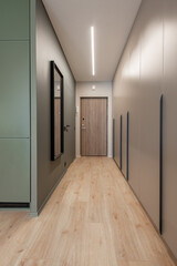 Modern Home Hallway Interior With Wooden Flooring and Stylish Contemporary Doors and Design