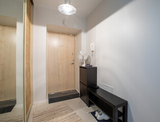 Modern Entryway Interior with Wooden Door and Minimalist Furniture Arrangement
