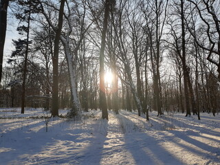 Schnee bedeckte Landschaft