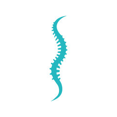 Spine logo vector illustration template design
