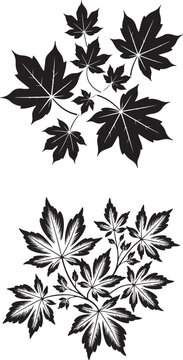 Autumn leaves
