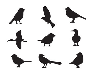Minimal Bird Silhouette Pack – Standing and Flying Views