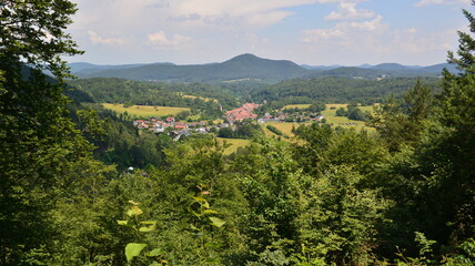 Pf&auml;lzer Wald_047