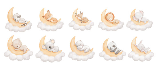 Watercolor cute animal sleeping on moon in cloud, watercolor hand drawn illustrations set for kids, painted drawing with isolated background