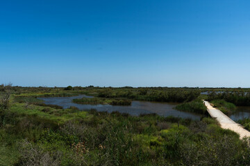 Photo paysage naturel et sauvage du parc ornithologique du pont de Gau