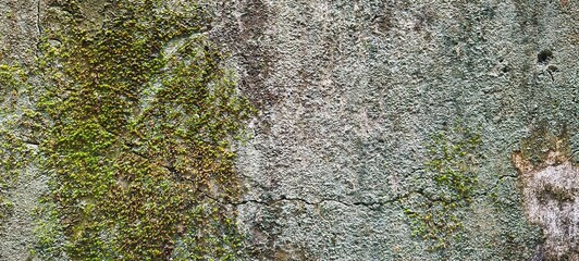 Old weathered wall texture with green moss and cracks grunge background