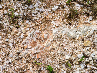 Terra di pietra calcarea dove prende vita un terroir unico, ideale per la viticoltura eroica, con vigneti coltivati su pendii impervi che danno origine a vini autentici e ricchi di mineralità. © Olga