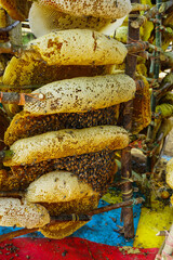 Honey and honeycomb details