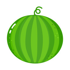 A whole, ripe green watermelon with a curly stem is isolated on white