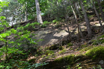 Pfälzer Wald_042
