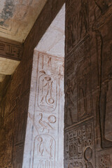 Ancient egyptian hieroglyphs carvings decorating temple walls